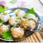 produit escargots coquilles - sabarot