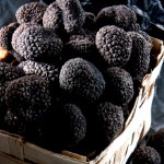 produit truffes fraiches - gaillard