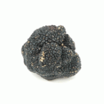 produit truffes surgelées - gaillard